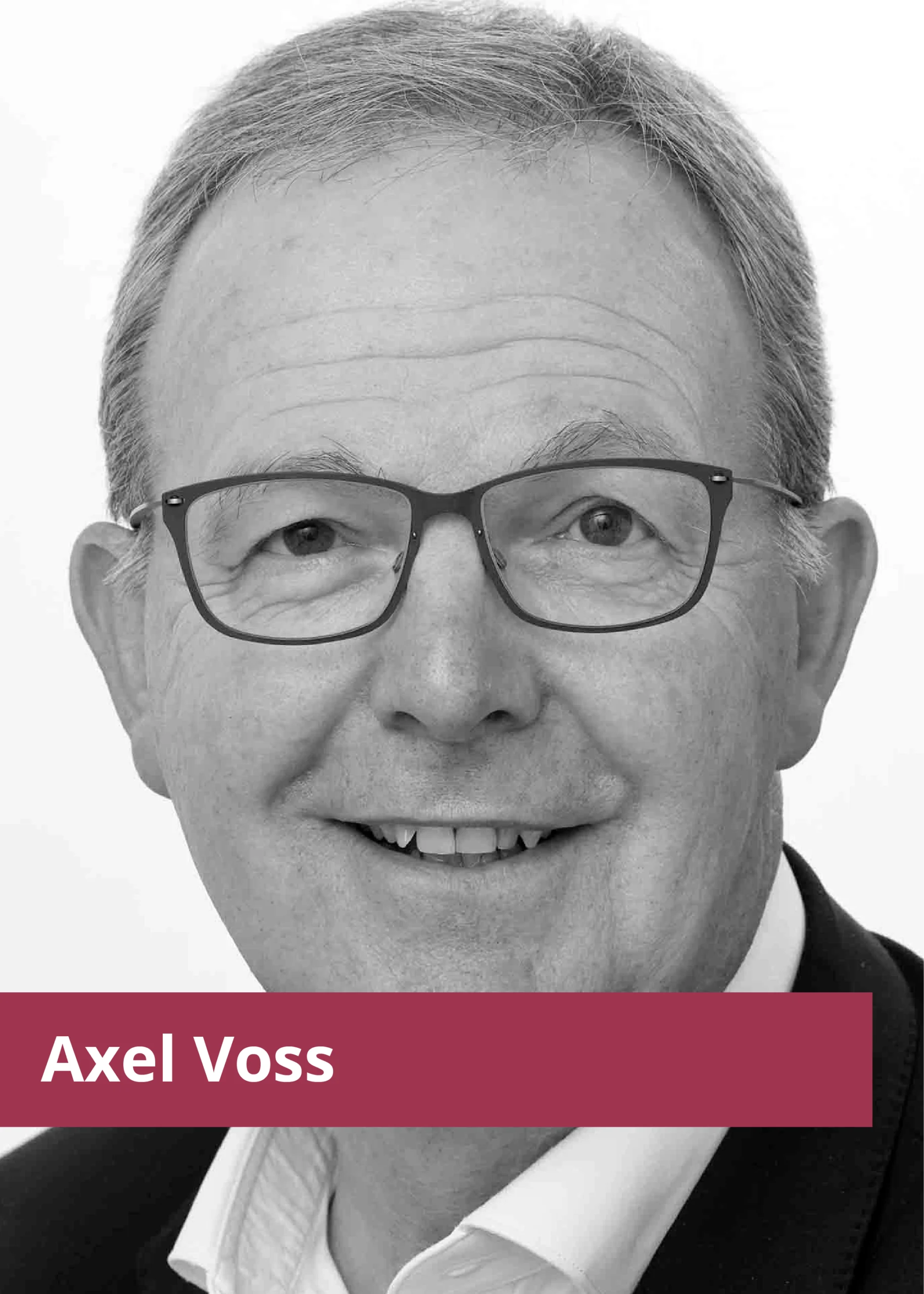 Axel Voss-01